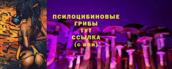 спайс Новозыбков