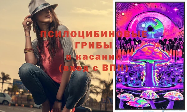 спайс Новозыбков