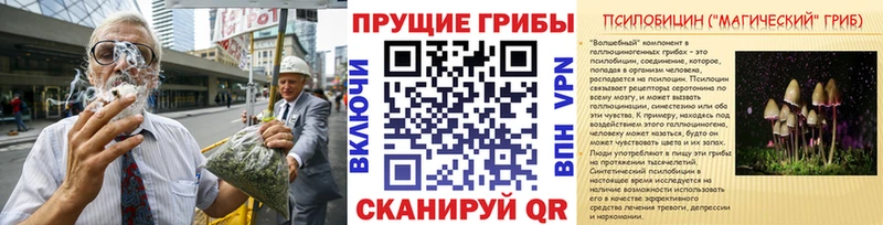 Псилоцибиновые грибы мухоморы  сайты даркнета официальный сайт  Ртищево 